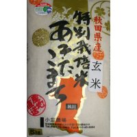 *新米*減農薬減化学肥料栽培米 玄米5kg
