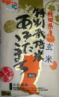 減農薬減化学肥料栽培米 玄米5kg