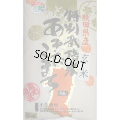 画像1: 減農薬減化学肥料栽培米 玄米5kg