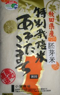 減農薬減化学肥料栽培米 胚芽米5kg