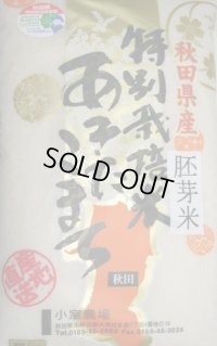 減農薬減化学肥料栽培米 胚芽米5kg