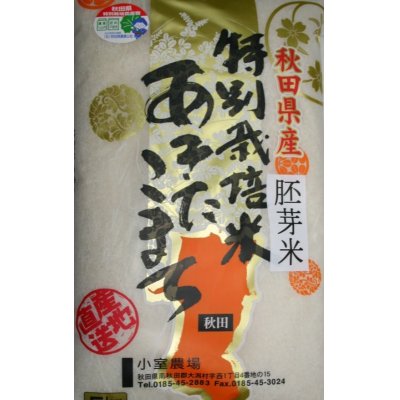 画像1: 減農薬減化学肥料栽培米 胚芽米5kg