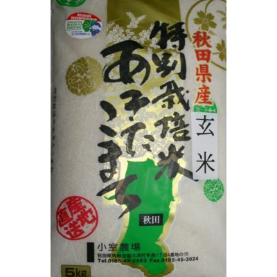 画像1: 無農薬無化学肥料栽培米　玄米5kg