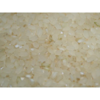 画像2: 無農薬無化学肥料栽培米　胚芽米5kg