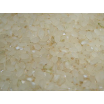 画像2: *新米*減農薬減化学肥料栽培米 胚芽米2kg