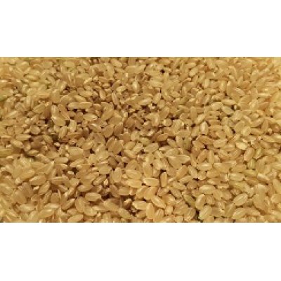 画像2: *新米*減農薬減化学肥料栽培米 玄米5kg