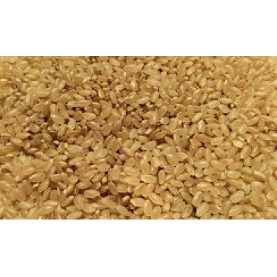画像2: 無農薬無化学肥料栽培米　玄米5kg