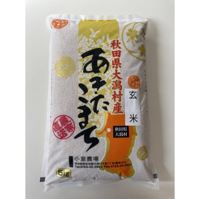 画像1: ※新米予約 減農薬減化学肥料栽培米 玄米5kg