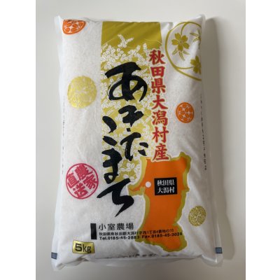 画像1: ※新米予約 減農薬減化学肥料栽培米 白米5kg