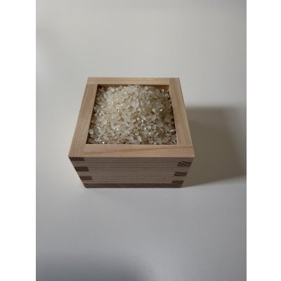 画像2: ※新米予約 減農薬減化学肥料栽培米 胚芽米2kg