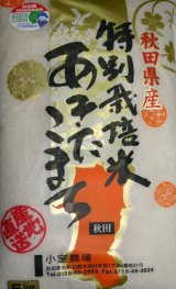 画像: 減農薬減化学肥料栽培米 白米5kg