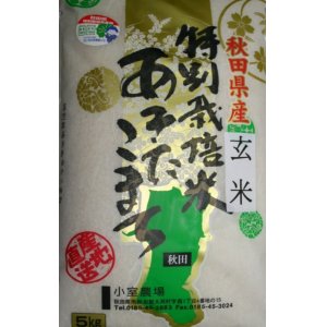 画像: 無農薬無化学肥料栽培米　玄米5kg