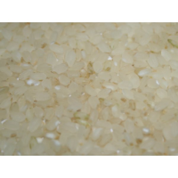 画像2: 無農薬無化学肥料栽培米　胚芽米5kg (2)