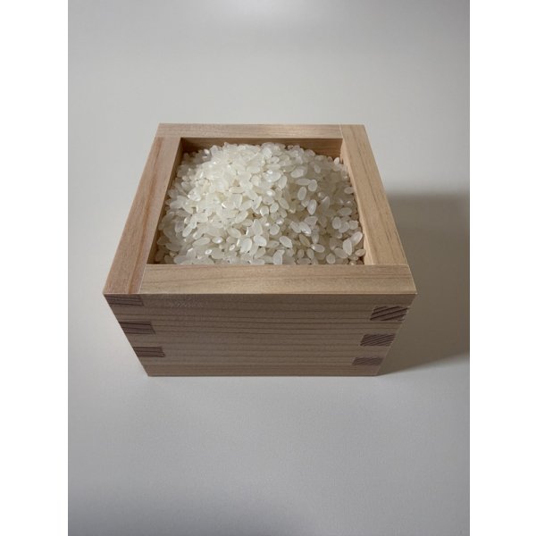 画像2: ※新米予約 減農薬減化学肥料栽培米 白米5kg (2)