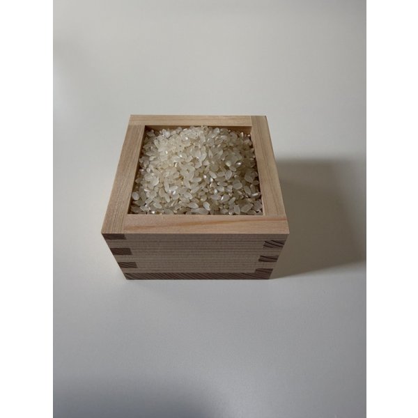 画像2: ※新米予約 減農薬減化学肥料栽培米 胚芽米5kg (2)