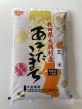 画像: ※新米 減農薬減化学肥料栽培米 玄米5kg