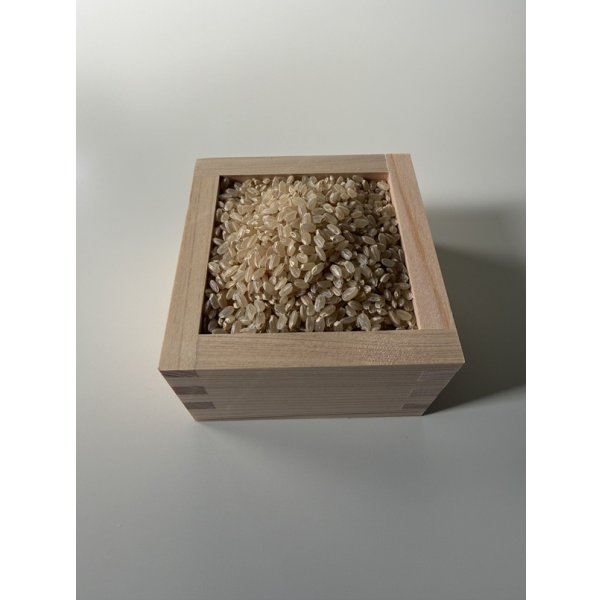 画像2: ※新米予約 減農薬減化学肥料栽培米 玄米2kg (2)
